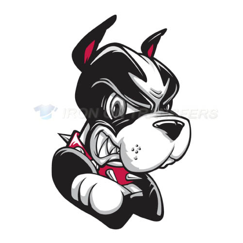Boston University Terriers logo T-shirts Iron On Transfers N4018